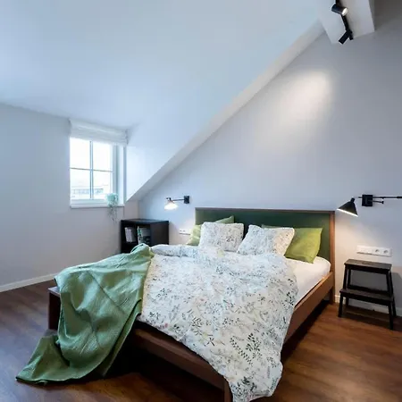 Domillion 2bdr Old Town At Bazilijonai Apartment